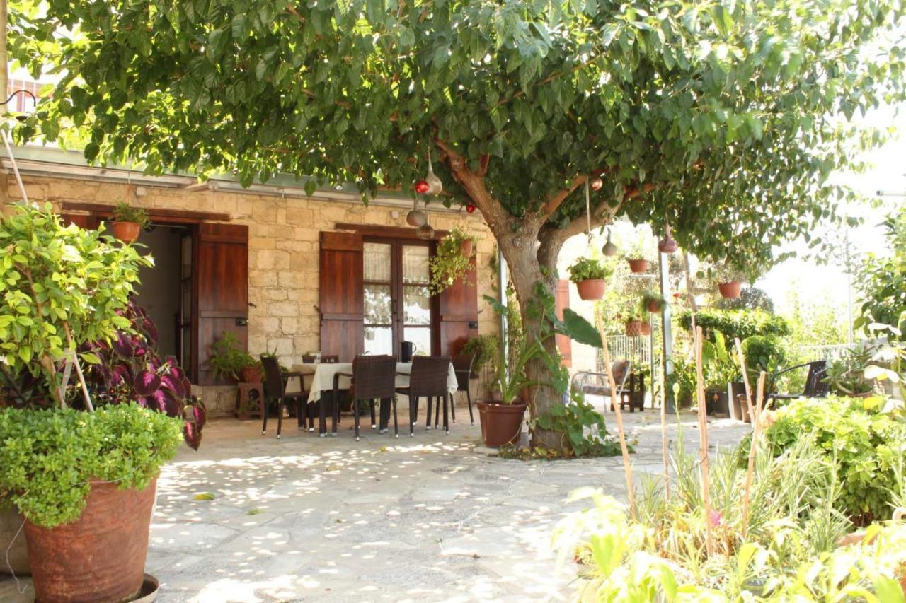 Bed and Breakfast Georgia'S House Fyti Zewnętrze zdjęcie